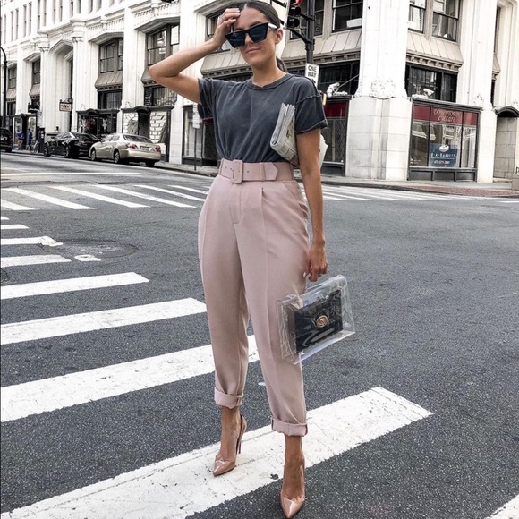 Zara Dusty Pink Belted Pants - Picture 5 of 7